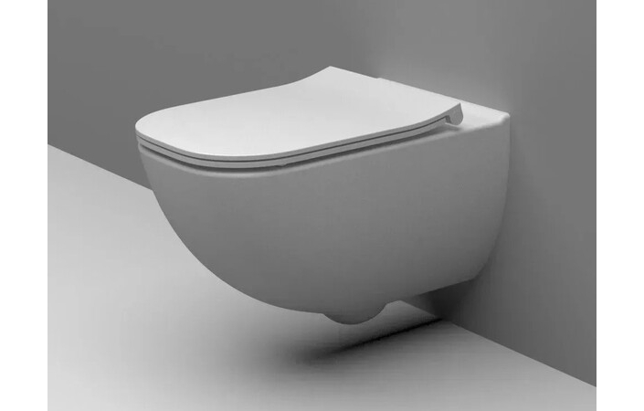 Комплект Інсталяція Duplo Nova WC + Унітаз підвісний з кришкою Alegra Rimless A890020020+A34H139000 Roca - Зображення 185386329-69468.jpg