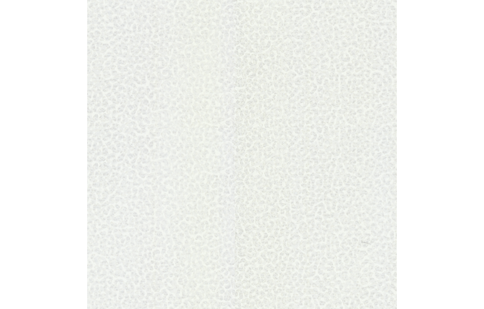 Шпалери Emiliana Parati Roberto Cavalli № 8 19020 - Зображення 186654189-d06b2.png