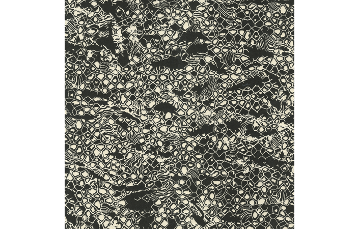 Шпалери Emiliana Parati Roberto Cavalli № 8 19036 - Зображення 186654198-b4550.png