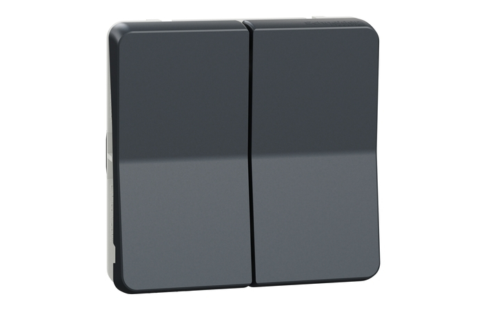 Перемикач 2-клавішний IP55 Чорний MUREVA STYL (MUR35019), Schneider Electric - Зображення 2076355-b2088.jpg