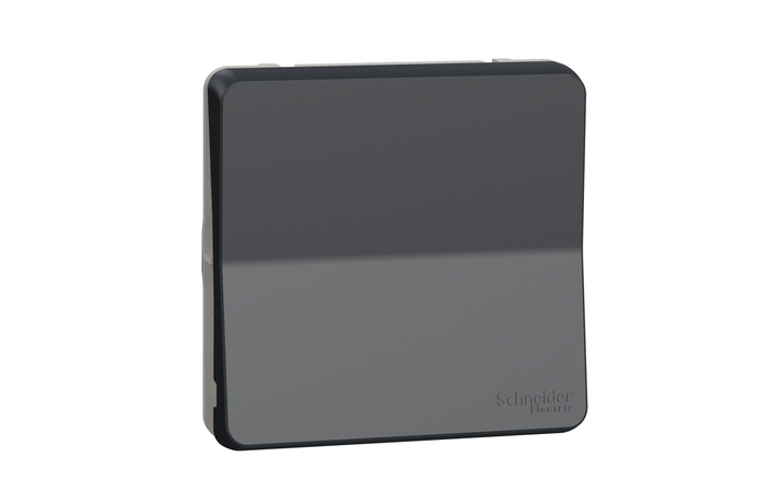 Перемикач 1-клавішний IP55 Чорний MUREVA STYL (MUR35020), Schneider Electric - Зображення 2076360-1b06b.jpg