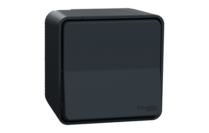 Перемикач 1-клавішний IP55 Чорний MUREVA STYL (MUR35021), Schneider Electric - Зображення 2076368-c32c5.jpg
