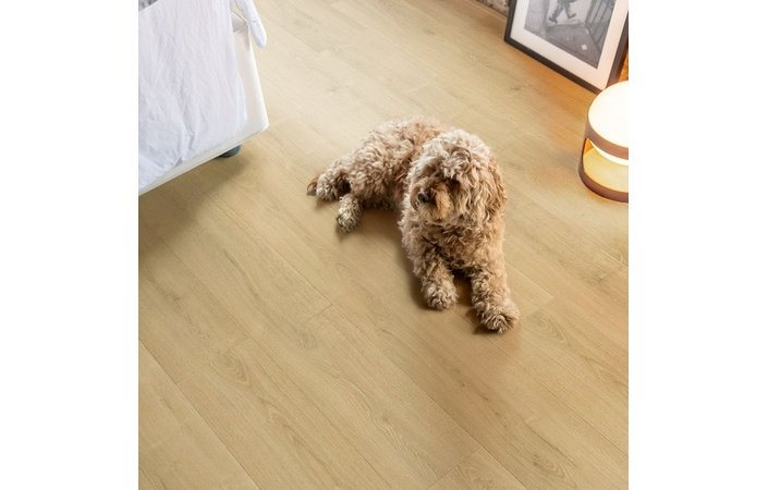 Ламінат Capture Дуб шліфований натуральний 1380х212x9 Quick-Step - Зображення 209300591-619a7.jpeg