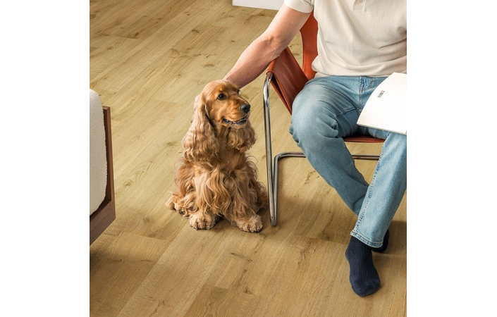 Ламинат Impressive Ultra Дуб трюфель 1380х190x12 Quick-Step - Зображення 209351157-b93ba.jpeg