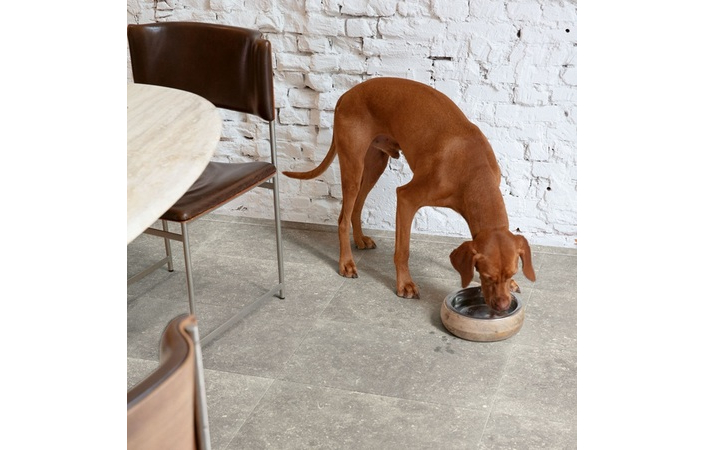 Ламінат Muse Блакитний камінь сизий 1200х396x8 Quick-Step - Зображення 209389510-d7b43.jpeg