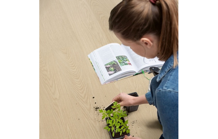 Виниловый пол BLOS Дуб масленка 1251х189x5 Quick-Step - Зображення 209646721-e35e2.jpeg