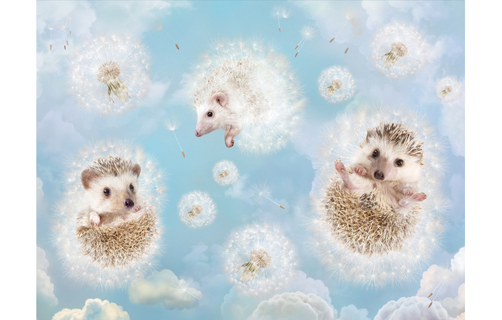 Фотошпалери LeoPrint Повітряне щастя - Зображення 215798529-3ba4e.jpg