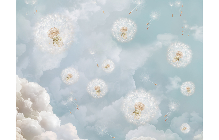 Фотошпалери LeoPrint Повітряне щастя - Зображення 215798529-8c4ae.jpg