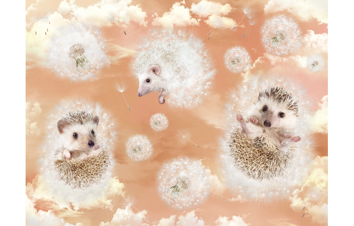 Фотошпалери LeoPrint Повітряне щастя - Зображення 215798529-ee08b.jpg