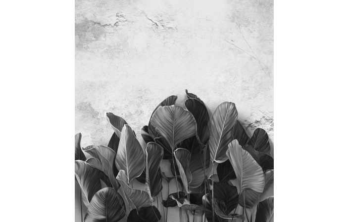 Фотошпалери LeoPrint Балі - Зображення 215798683-245bf.jpg