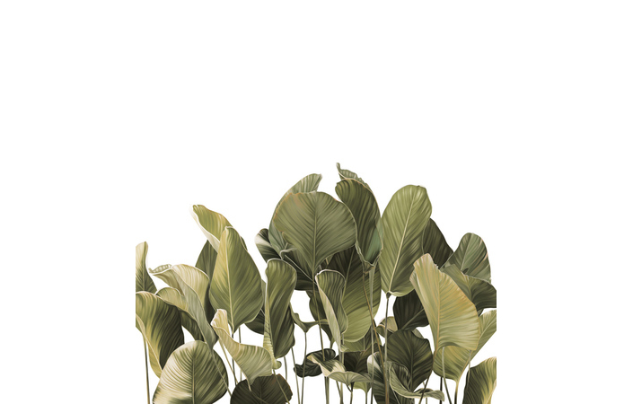 Фотошпалери LeoPrint Балі - Зображення 215798683-a794a.jpg