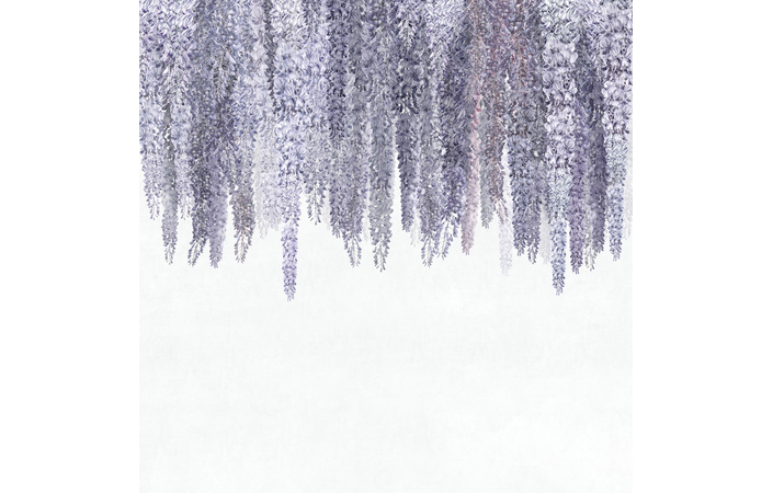 Фотошпалери LeoPrint Гліцинія - Зображення 215798686-2320f.jpg