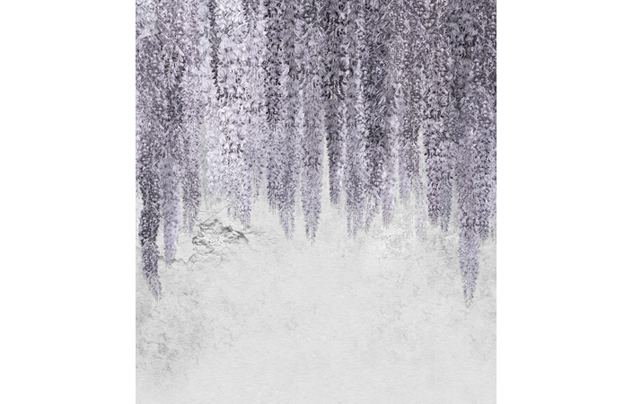 Фотошпалери LeoPrint Гліцинія - Зображення 215798686-28c41.jpg