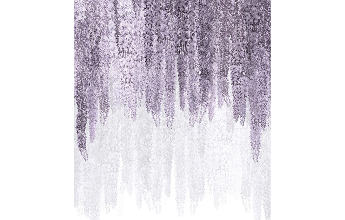 Фотошпалери LeoPrint Гліцинія - Зображення 215798686-50382.jpg