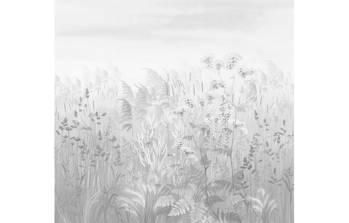 Фотошпалери LeoPrint Лугова прозорість - Зображення 215798689-252aa.jpg