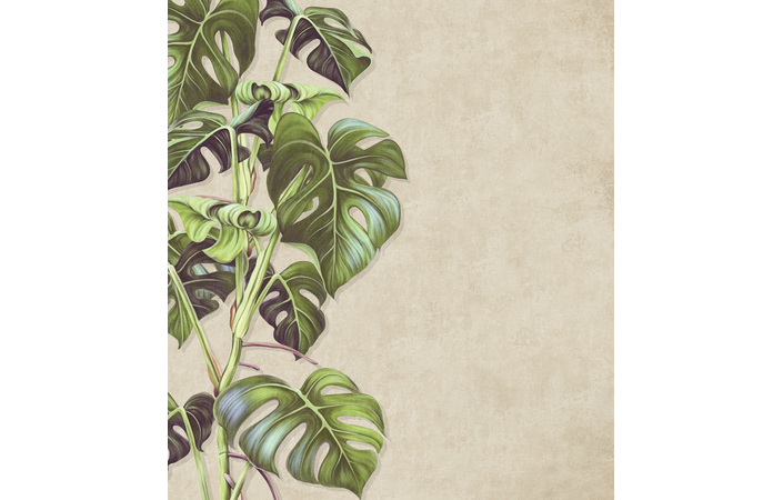 Фотошпалери LeoPrint Монстера - Зображення 215798690-15736.jpg