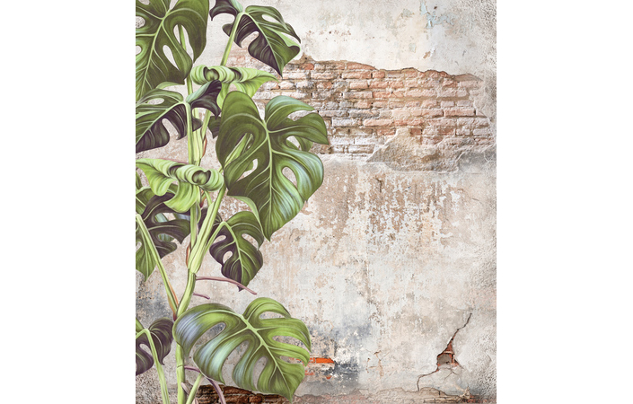 Фотошпалери LeoPrint Монстера - Зображення 215798690-d8141.jpg