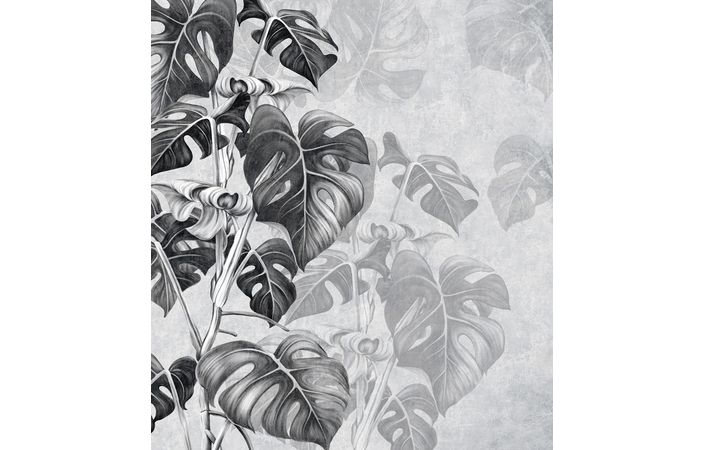 Фотошпалери LeoPrint Монстера - Зображення 215798690-fcf59.jpg