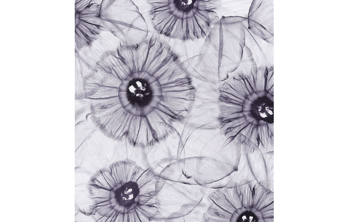 Фотошпалери LeoPrint Нарцис - Зображення 215798691-63807.jpg