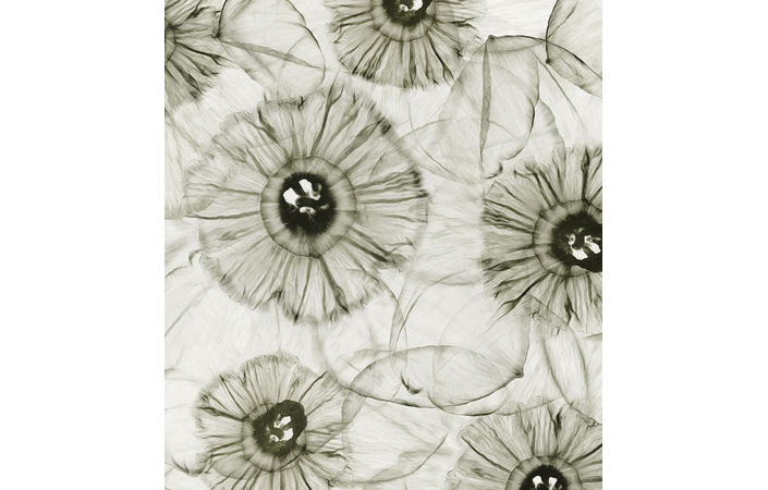 Фотошпалери LeoPrint Нарцис - Зображення 215798691-d7956.jpg