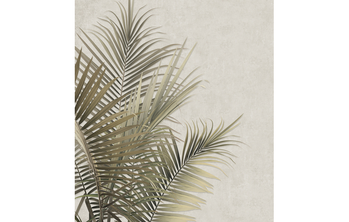 Фотошпалери LeoPrint Пальмове листя - Зображення 215798693-2c022.jpg