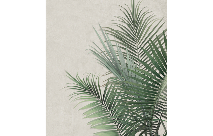 Фотошпалери LeoPrint Пальмове листя - Зображення 215798693-f618b.jpg