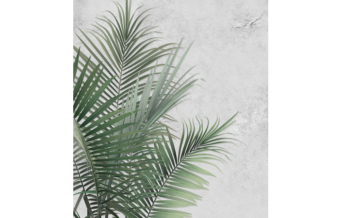 Фотошпалери LeoPrint Пальмове листя - Зображення 215798693-fa499.jpg