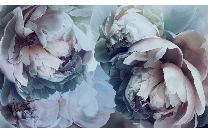 Фотошпалери LeoPrint Півонія - Зображення 215798694-06f01.jpg