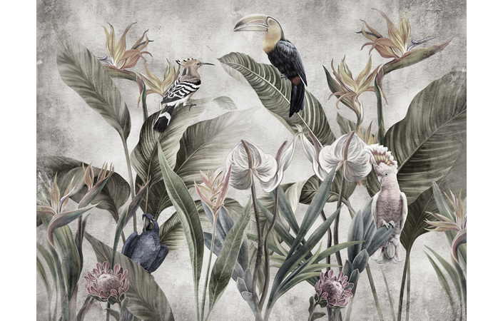 Фотошпалери LeoPrint Райські птахи - Зображення 215798695-0fc84.jpg