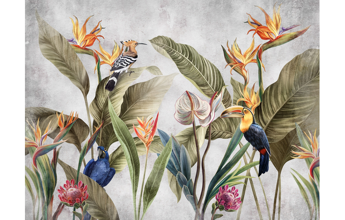 Фотошпалери LeoPrint Райські птахи - Зображення 215798695-89052.jpg