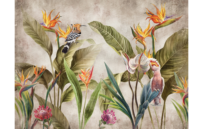 Фотошпалери LeoPrint Райські птахи - Зображення 215798695-ff15d.jpg