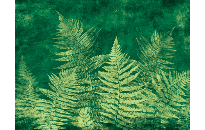Фотошпалери LeoPrint Листя папороті - Зображення 215979962-ed66f.jpg