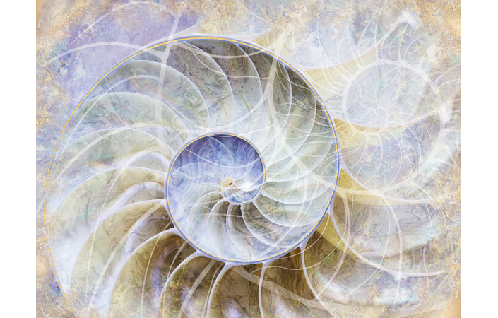 Фотошпалери LeoPrint Перлина - Зображення 215979964-fbe3b.jpg