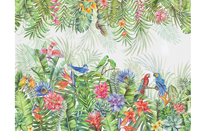 Фотошпалери LeoPrint Райські птахи - Зображення 215979965-33cd0.jpg