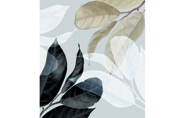 Фотошпалери LeoPrint Танок листя - Зображення 215979967-9d865.jpg