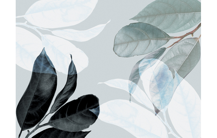 Фотошпалери LeoPrint Танок листя - Зображення 215979967-b17d1.jpg