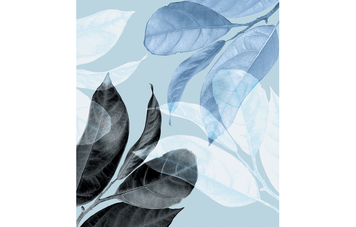 Фотошпалери LeoPrint Танок листя - Зображення 215979967-d160b.jpg