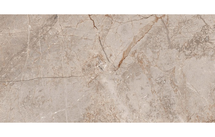 Плитка керамогранітна Silver Roots SZKL RECT MAT 600x1200 Mia Ceramika - Зображення 216579025-1b6af.jpg