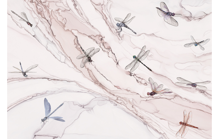 Фотошпалери LeoPrint Танець бабок - Зображення 219540976-03d87.jpg