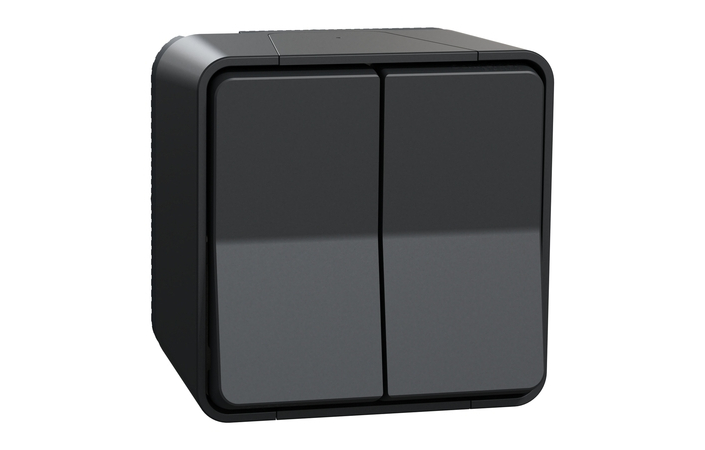 Перемикач 2-клавішний IP55 Чорний MUREVA STYL (MUR35022), Schneider Electric - Зображення 2455072-92ce0.jpg