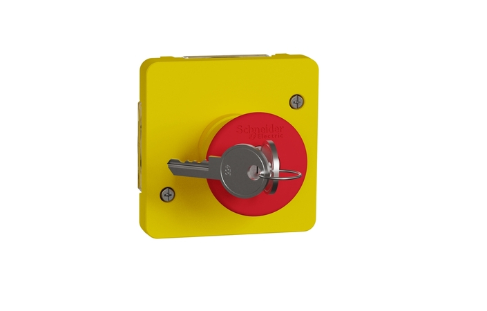 Аварийный выключатель с ключом IP55 Желтый MUREVA STYL (MUR35052), Schneider Electric - Зображення 2463209-29156.jpg