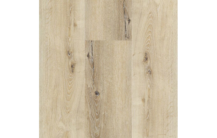 Вінілова підлога Spirit Pro 55 GLUE Plank Country Honey 60001465 - Зображення 32436326-4fc51.jpg