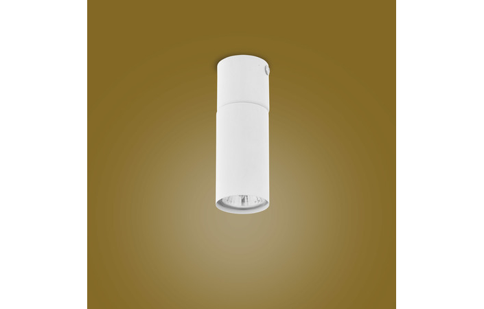 Точечный светильник LOGAN WHITE (4421), TK LIGHTING - Зображення 4421-2.jpg