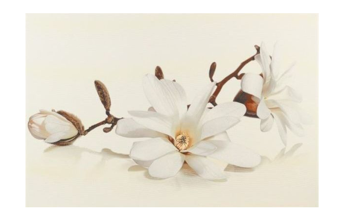 Декор Flora Inserto Magnolia 300×450x9 Cersanit - Зображення 5a04c-flora-inserto-magnolia-30x45.jpg