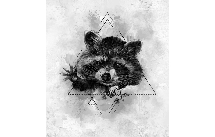 Фотошпалери LeoPrint Голодний єнот - Зображення OML9BJH_PW-0056.jpg