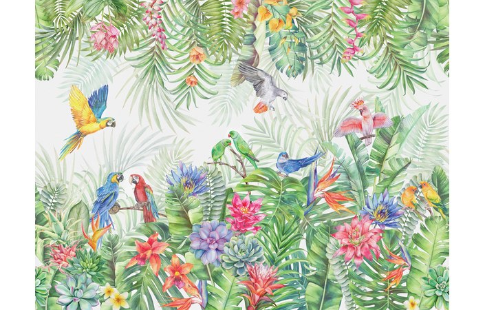 Фотошпалери LeoPrint Райські птахи - Зображення OML9BJH_PW-0067.jpg