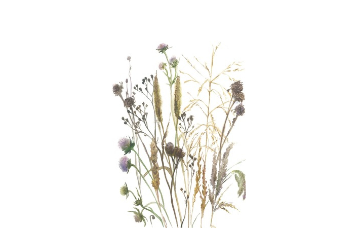 Шпалери Marburg Boho 35799 (Без перевода) - Зображення SPJ6FCI_35799.jpg