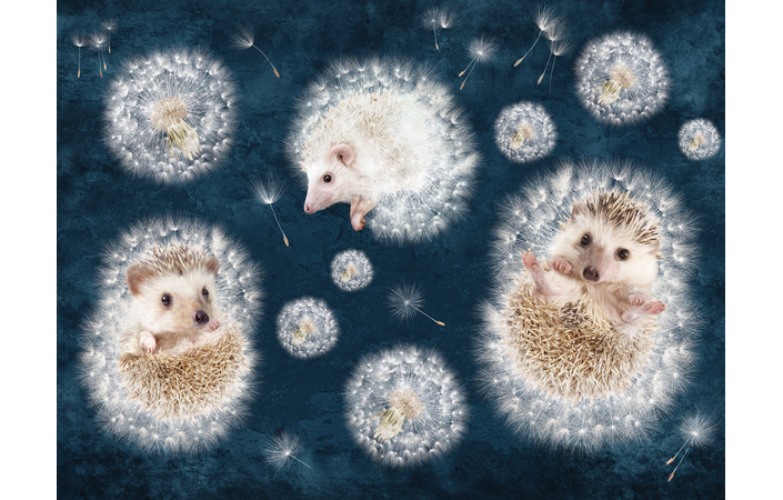 Фотошпалери LeoPrint Повітряне щастя - Зображення VCE6XUC_PW-0014.jpg