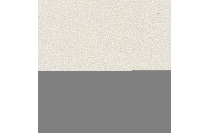 Шпалери Emiliana Parati Roberto Cavalli № 8 19016 - Зображення WK6DJEC_19016.jpg