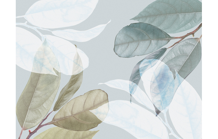 Фотошпалери LeoPrint Танок листя - Зображення XIXS7ZM_PW-0031.jpg